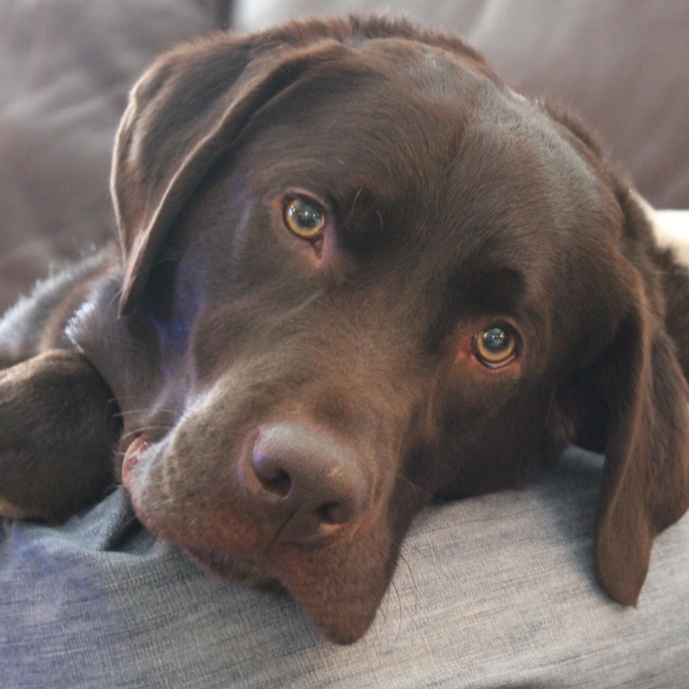 Meet your Posher, Heather